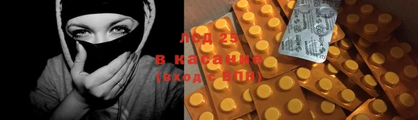 ECSTASY Тайга