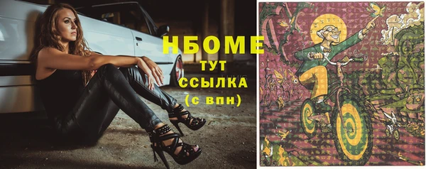 ECSTASY Тайга
