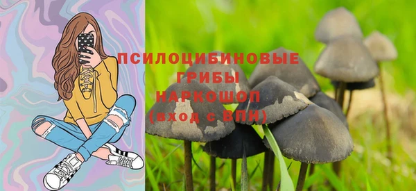 герыч Пестово