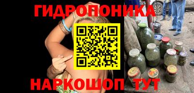 бошки Гатчина