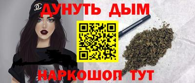 бошки Гатчина