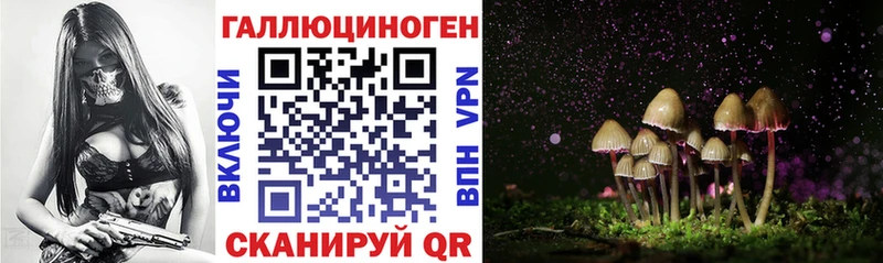 где продают наркотики  Азнакаево  Галлюциногенные грибы MAGIC MUSHROOMS 