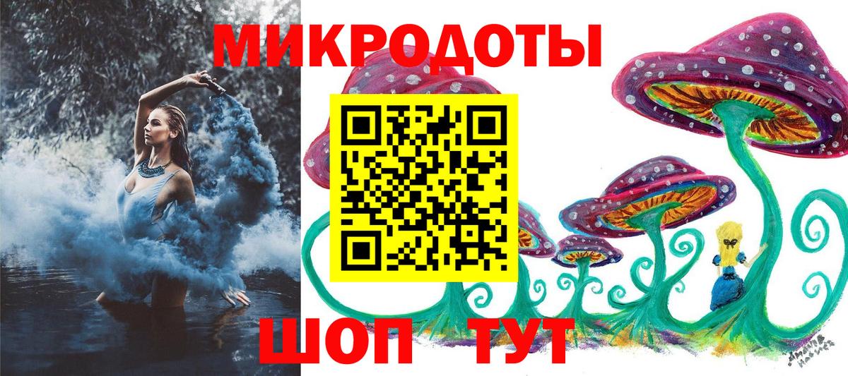 Галлюциногенные грибы Psilocybe Азнакаево
