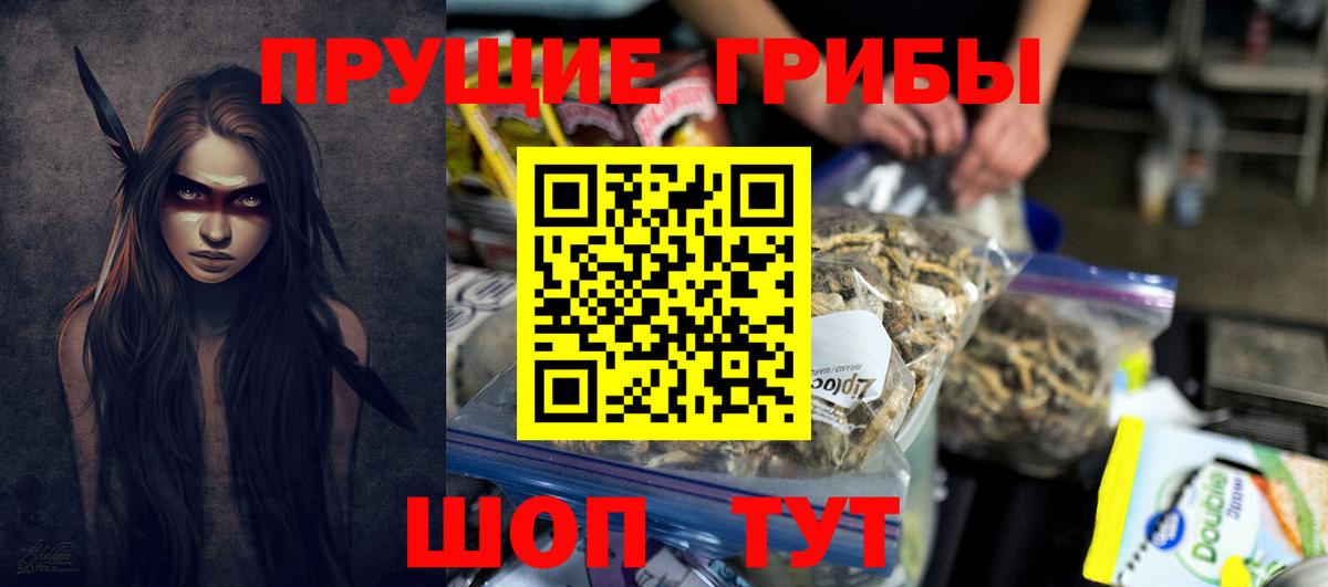 Азнакаево  Галлюциногенные грибы Psilocybe  Вход с VPN 